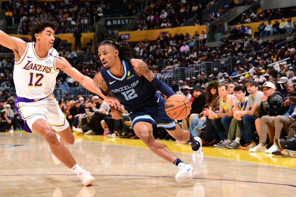 培养与使用 培养与使用